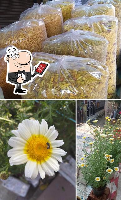 Here's a photo of BULANDI RAM BHUJIAWALA