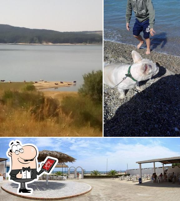 Gli esterni di Lido Mille Pini