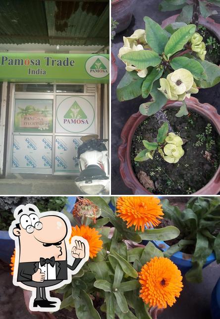 Lakshya Photo Gallery And Aadhar Center