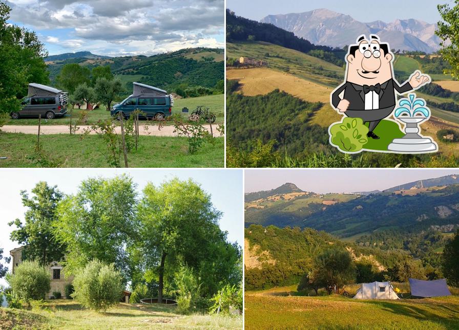 Agriturismo Villa Valente (Agricamping in Le Marche)