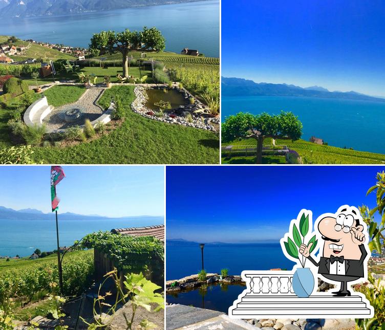 Domaine Alain Chollet-Le Daley