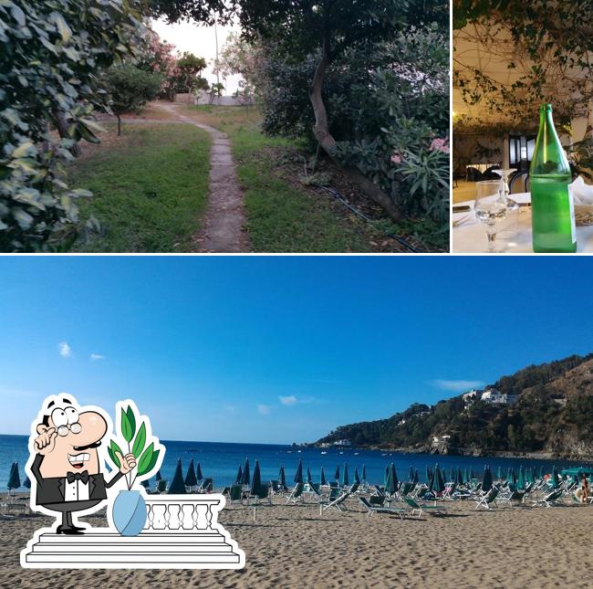 Guarda la immagine che presenta la esterno e bevanda di Hotel Club Poseidon