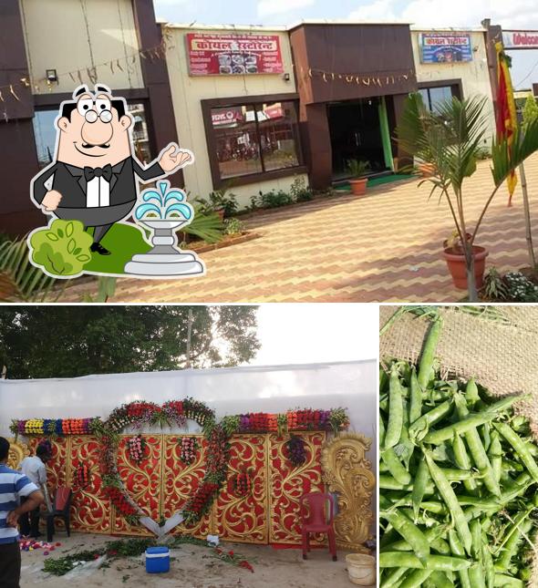 This is the image displaying exterior and food at Koyal Sweets & Restaurant
