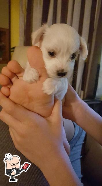 Guarda la immagine di Fast Food Station 0