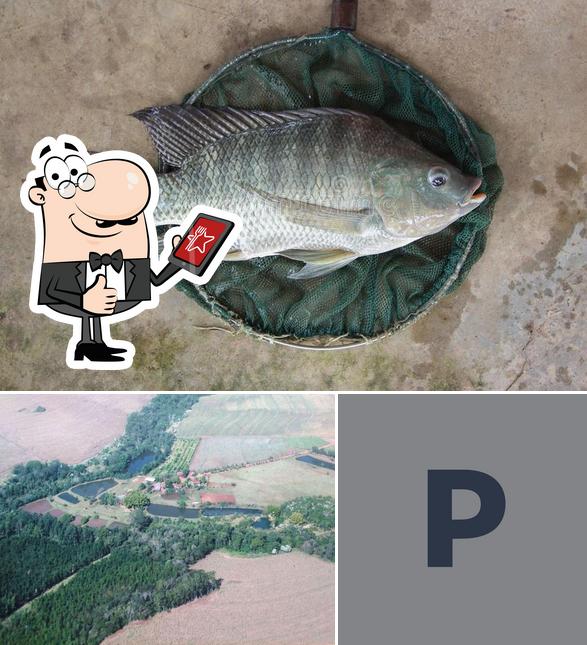 Pesque Pague do Polaco
