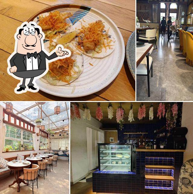 My, Oh My - Live Kitchen & Bar