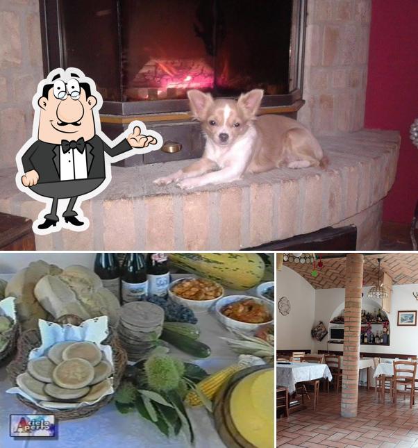 Tra le diverse cose da Agriturismo Campiano si possono trovare la interni e cibo