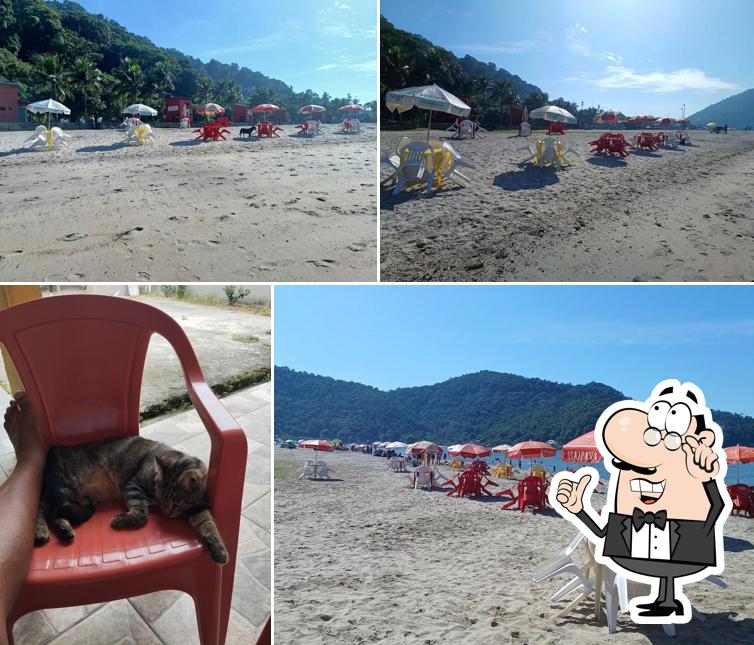 Quiosque sol de verao