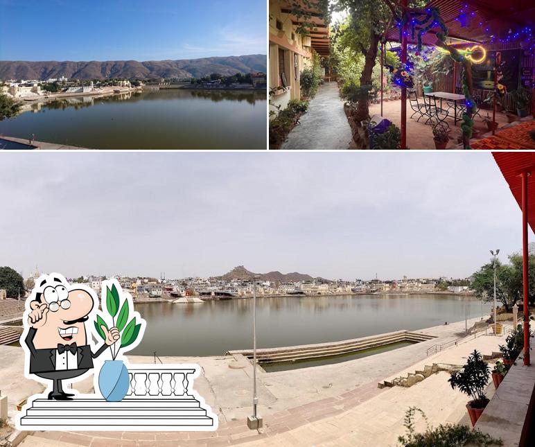 Check out how Doctor Family Pizzeria And Mami Hostel looks outside