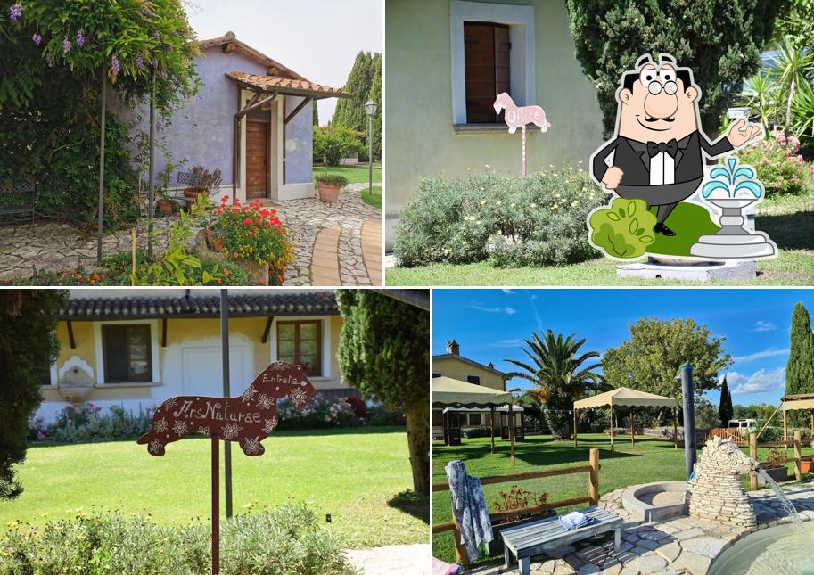 Guarda gli esterni di Agriturismo Ars Naturae Ristorante Guest House Piscina Eventi
