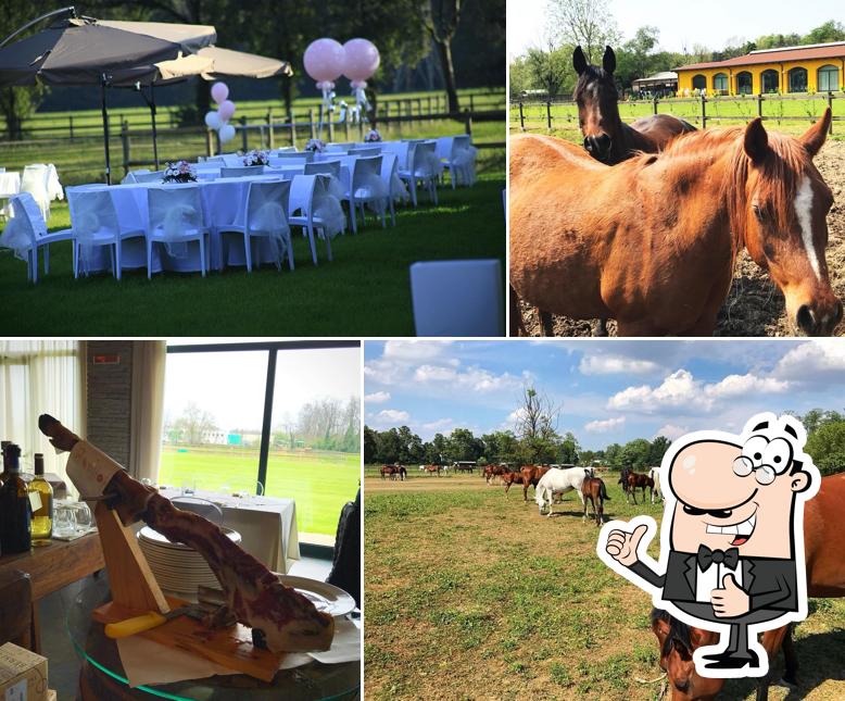 Ecco una foto di Il Grifondoro