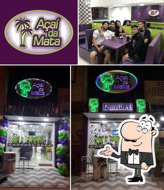 Açaí da Mata