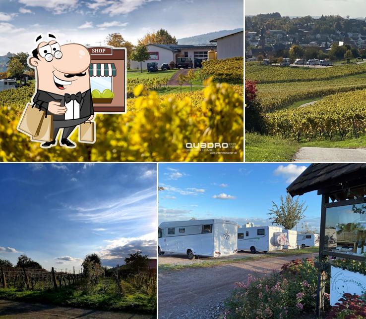 Weingut Hitziger