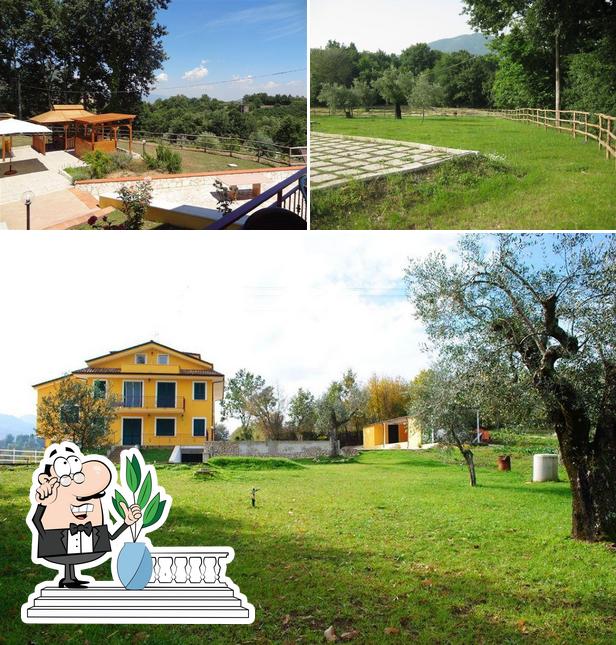 Guarda gli esterni di Il Seme del Melograno