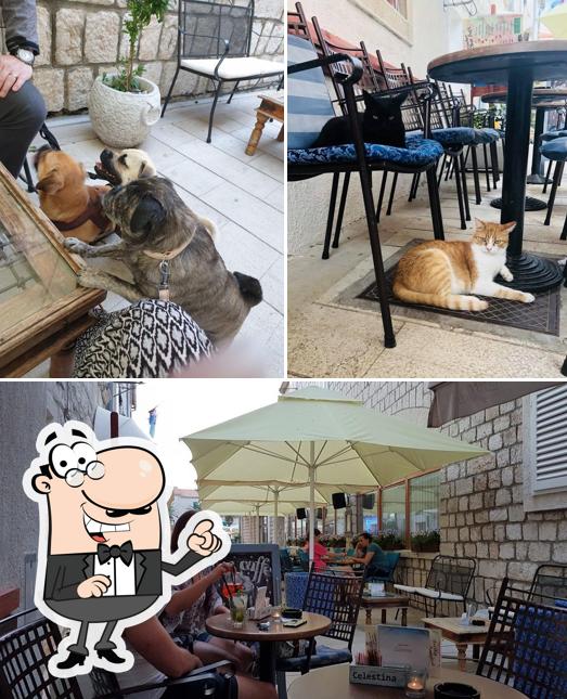 Dai un'occhiata agli interni di Caffe Bar Celestina