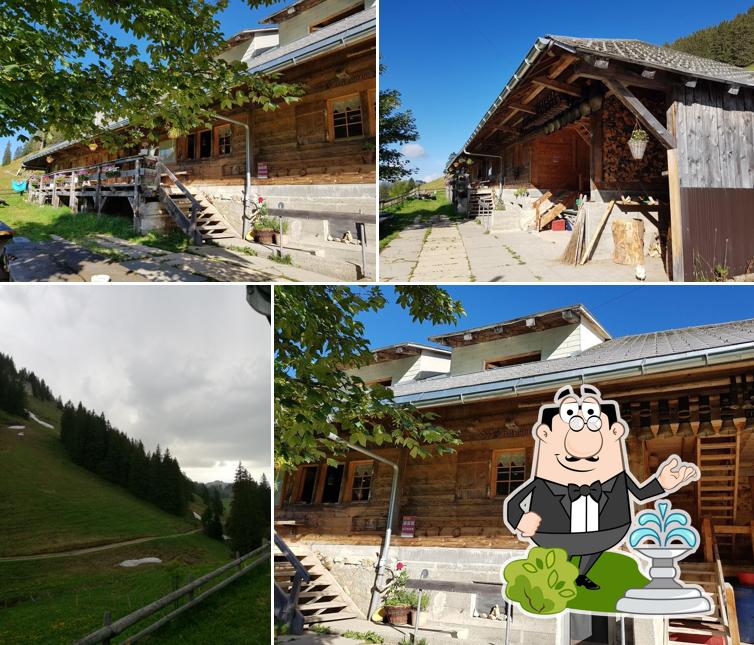 Alp Balisa