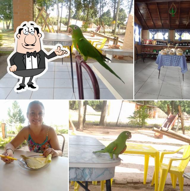 Delicias do Milho & Cia