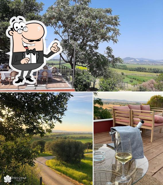 Gli esterni di Ristorante Terre di Grancia Degustazione - Vendita diretta vino e olio