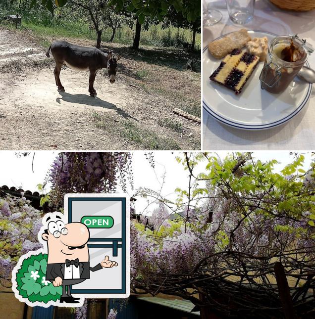 Puoi goderti l'aria fresca dal dehors di Agriturismo "I Rosmarini" di Rossi Delio