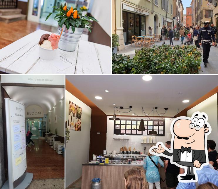 Dai un'occhiata agli interni di Gelateria Bloom - Via Taglio (MO)