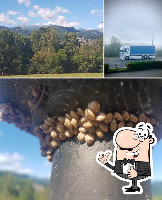 Ecco un'immagine di Bar Aquilone Di Gambogi Silvia