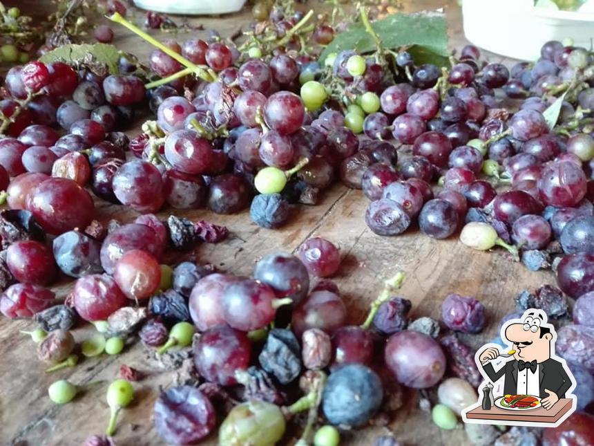 Cibo al Poggio Fecondo Agriturismo