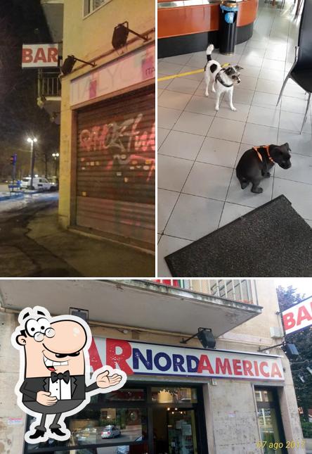 Guarda la immagine di NORDAMERICA