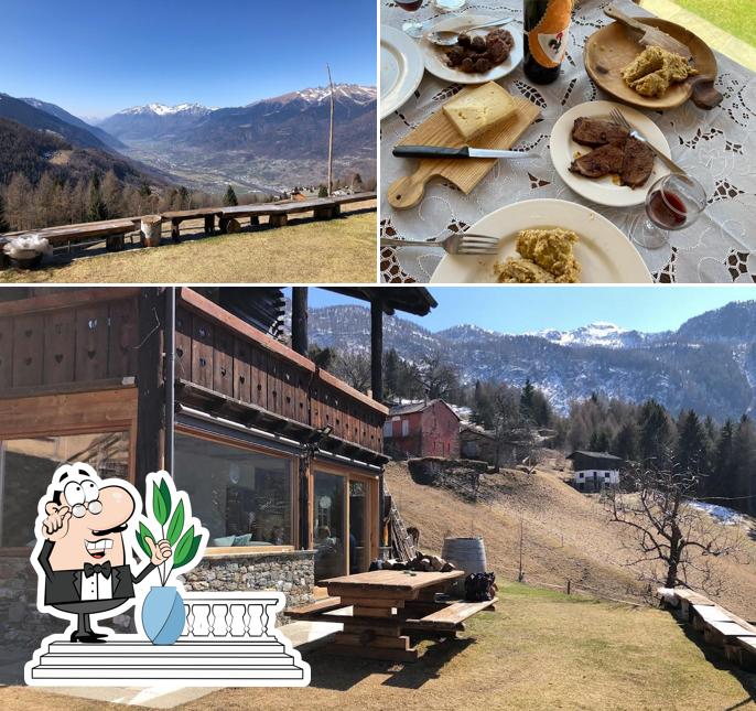 Guarda la foto che presenta la esterno e birra di Ristorante @ Agriturismo Il Sorbo