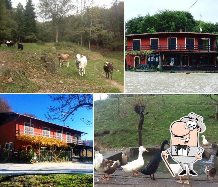 Agriturismo San Michele