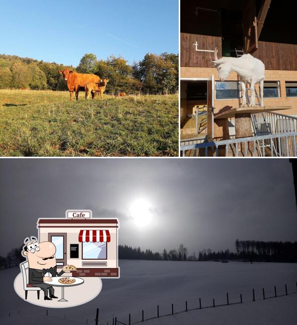 Puoi goderti l'aria fresca da seduto all'esterno di Bergwirtschaft Bremgarten