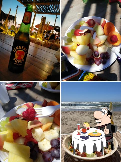 Calathea - Lido Verde