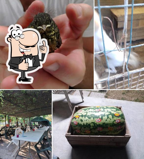 Vedi questa foto di Coco verde