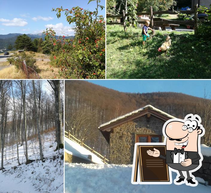 Agriturismo Le Roncacce