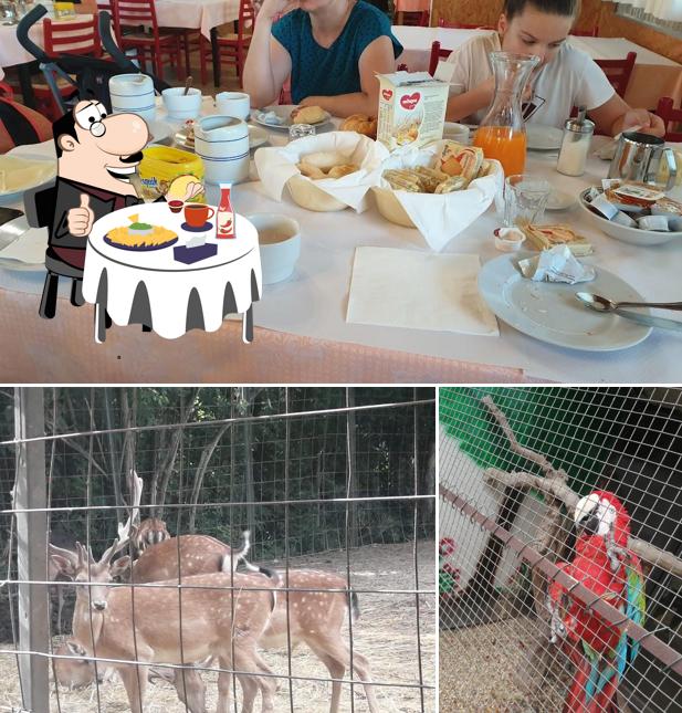 Piatto di formaggi al Agriturismo Villa Serena