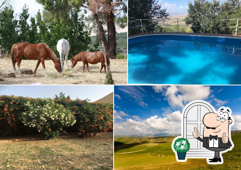 Guarda gli esterni di Agriturismo Ridocco