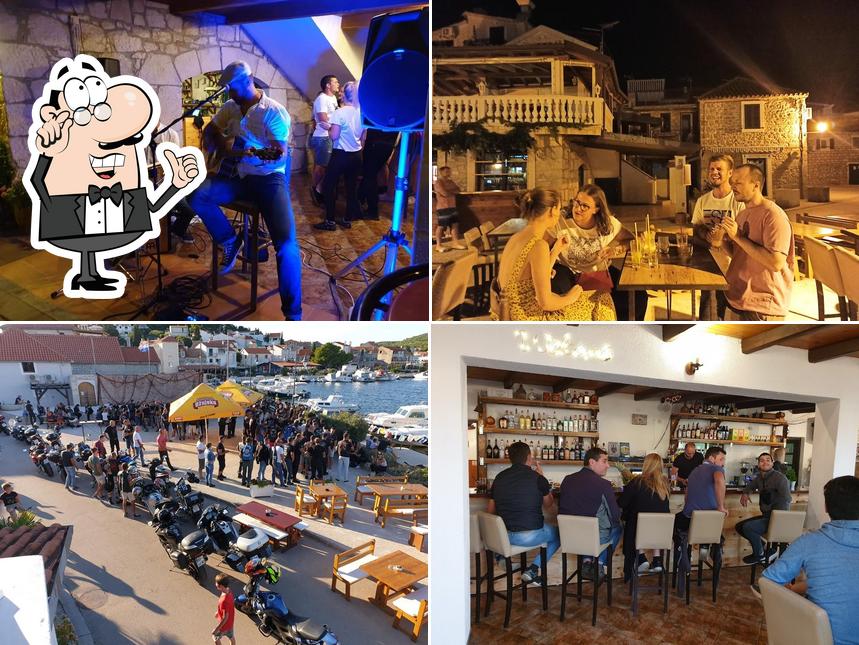 Konoba-Bar Stray Cat