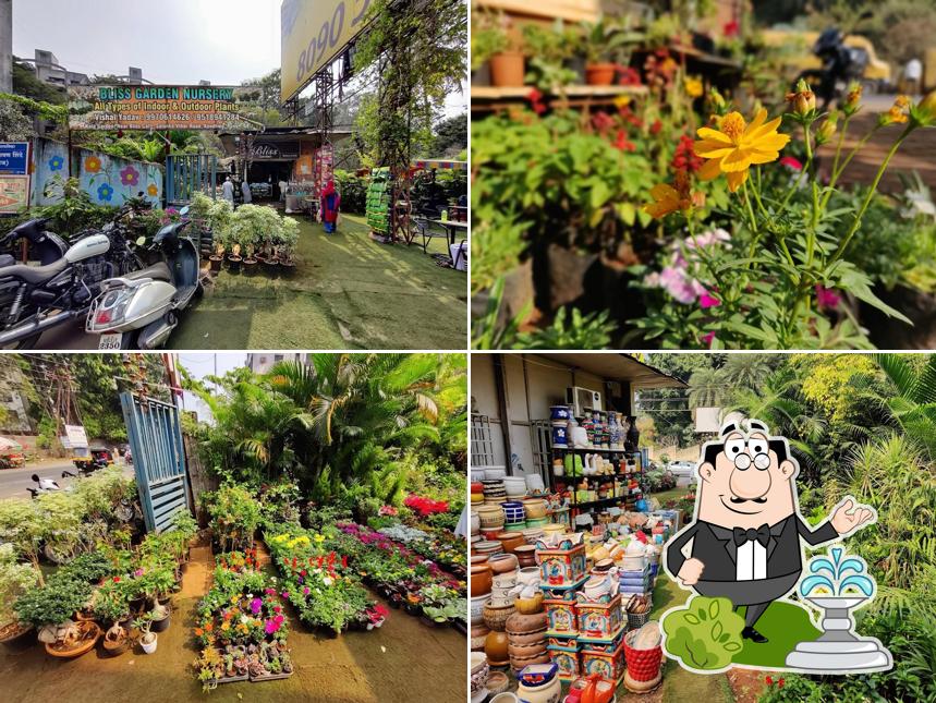 You can get some fresh air at the outside area of Bliss garden & cafe