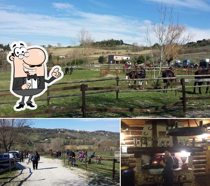 La esterno e bancone da bar del ristorante