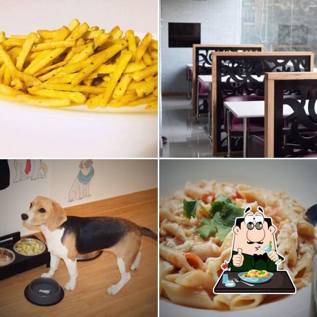 Meals at Bow Wow