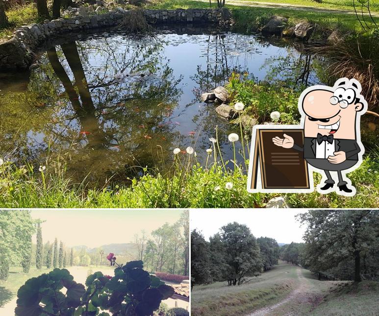 Puoi goderti l'aria fresca dal dehors di La cova del cervo
