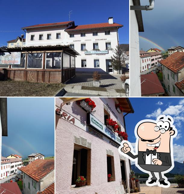 Curiosa tra l'area esterna di Albergo Ristorante Pizzeria Edelweiss Tonezza