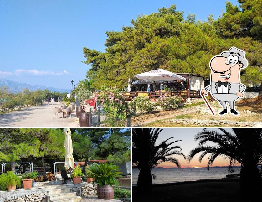 Goditi la vista dall'area esterna di Fruit Land Cafe