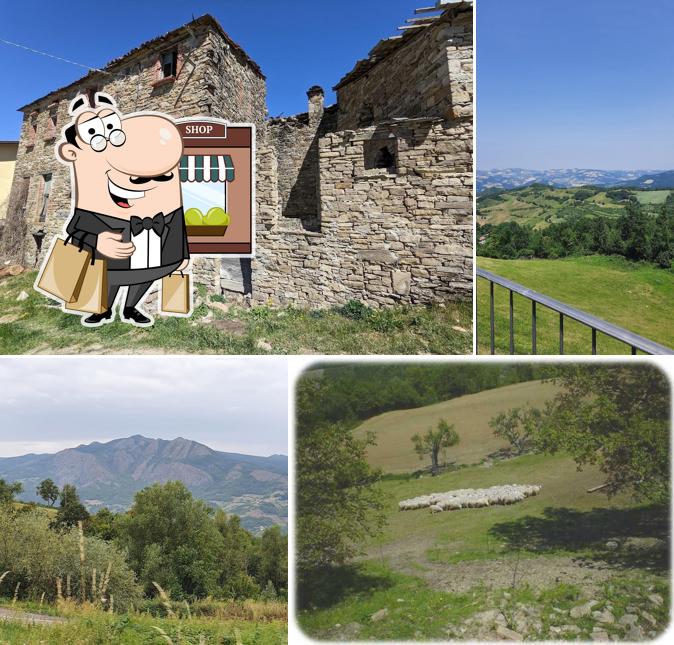Guarda gli esterni di Agriturismo F.lli Gusai