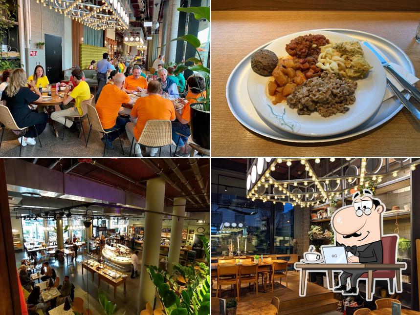 Dai un'occhiata agli interni di tibits