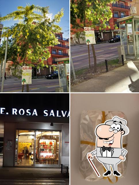 Gli esterni di Rosa Salva - Mestre