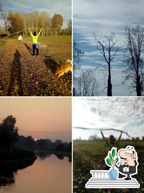 Gli esterni di Q8easy