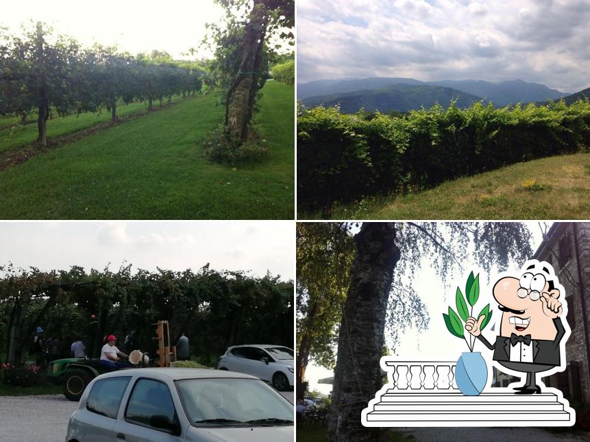 Puoi goderti l'aria fresca dal dehors di Agriturismo Riva de Milan