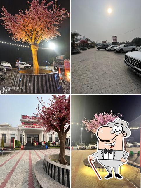 You can get some fresh air outside Green Wood Dhaba