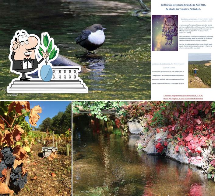 Demeures et Châteaux Le Moulin des Templiers