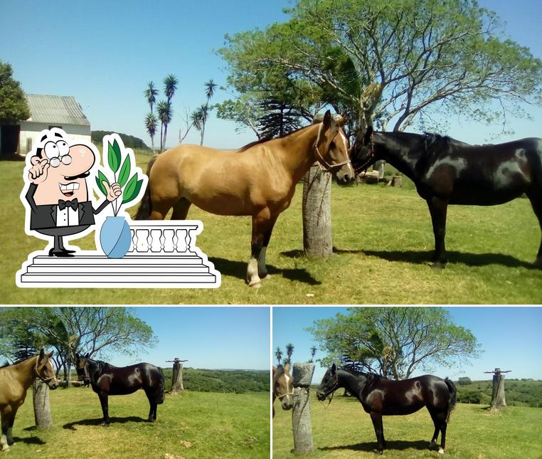 Panificadora Mercopan